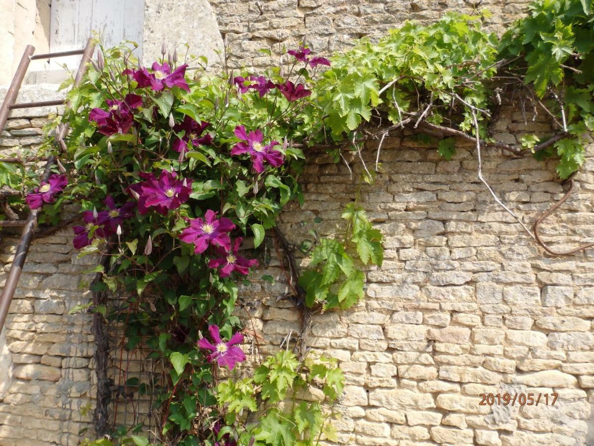 Safraniere De La Venelle Du Moulin Bed & Breakfast Jort Luaran gambar
